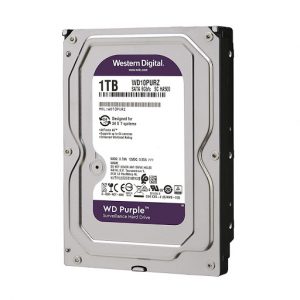 WD10PURZ