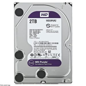 WD20PURZ